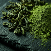 Green Tea Extract